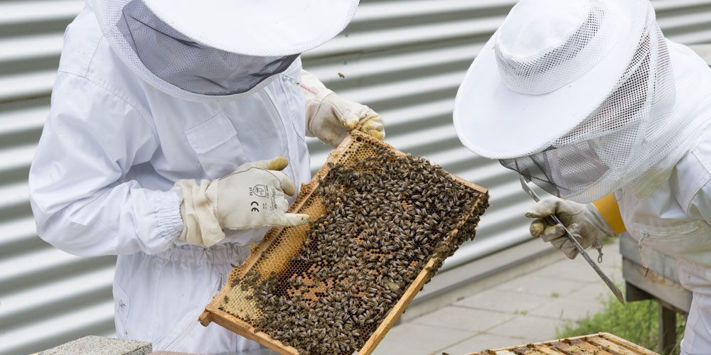 Formatierungen im Blog und auf der Webseite