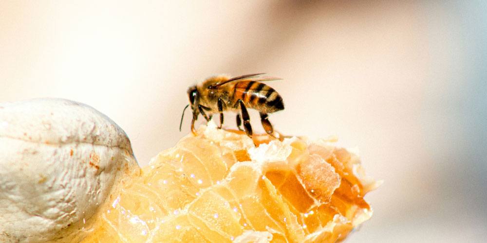 Oder posten Sie einen kurzen Status