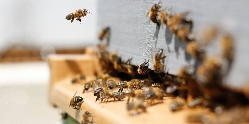 Bleiben Sie in Kontakt mit Ihren Besuchern